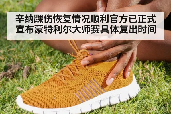 辛纳踝伤恢复情况顺利官方已正式宣布蒙特利尔大师赛具体复出时间